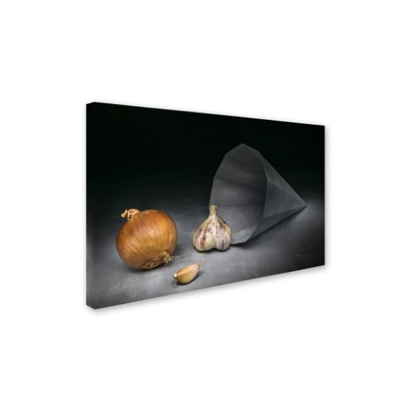 Christophe Verot 'Abundance' Canvas Art,30x47